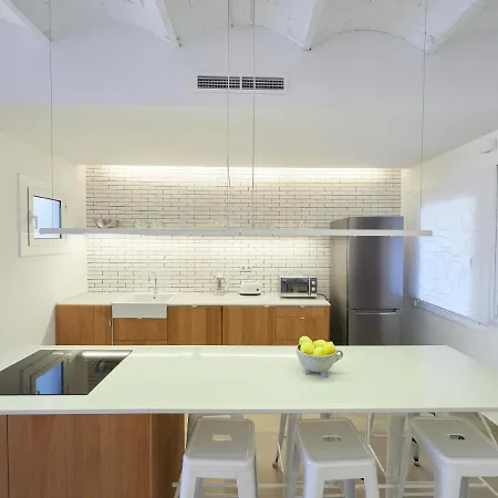 Bcn Plaza Cataluna Penthouse Apartment