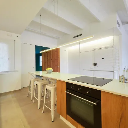 Bcn Plaza Cataluna Penthouse Barcelona